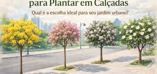 Principais Árvores para Plantar em Calçadas: Qual é ascolha Ideal para Seu Jardim Urbano?